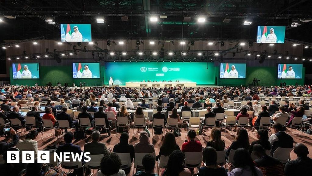 Document collection of fossil gasoline delegates at COP28 – BBC Information