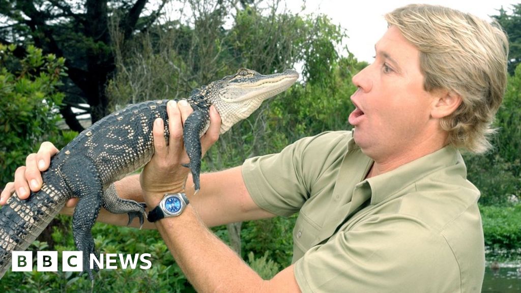 porcelæn Normalt Perpetual Steve Irwin: How should the Crocodile Hunter be remembered? - BBC News