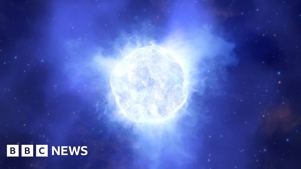 Mystery over monster star's vanishing act - BBC News