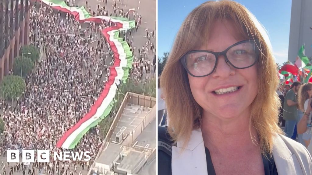 Watch: Iranian Americans celebrate on the streets of Los Angeles