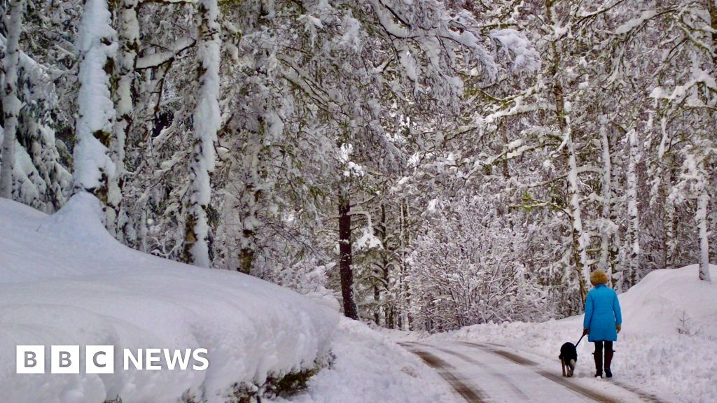 Your pictures of Scotland: 15 - 22 December - BBC News
