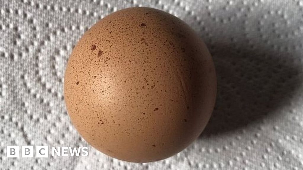 'Football-shaped' hen's egg sells for £102 at auction - BBC News