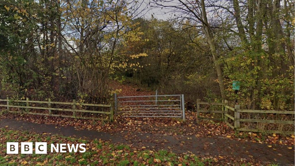 Sheffield Bin bags full of dead geese dumped in woods BBC News