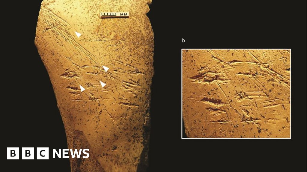 Europe's earliest bone tools found in Britain