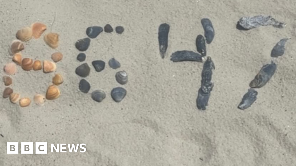 Comey's seashell post got him indicted. But experts are sceptical the government can win