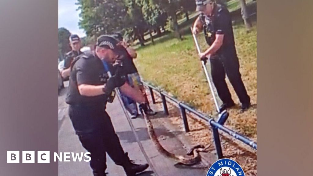 Birmingham police save ‘slippery customer’ boa constrictor spotted in road