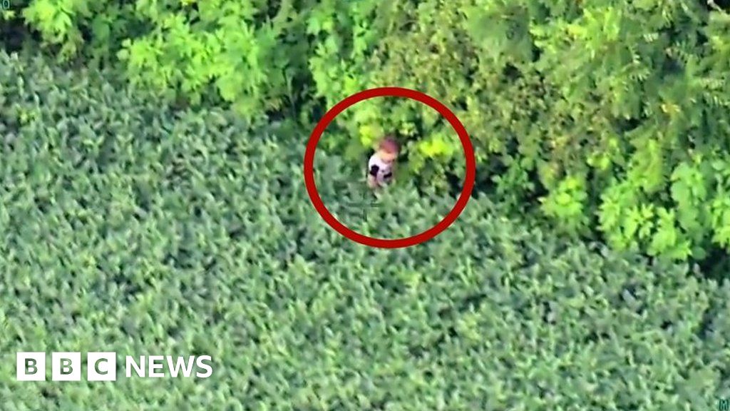 Helicopter finds missing toddler in soybean field