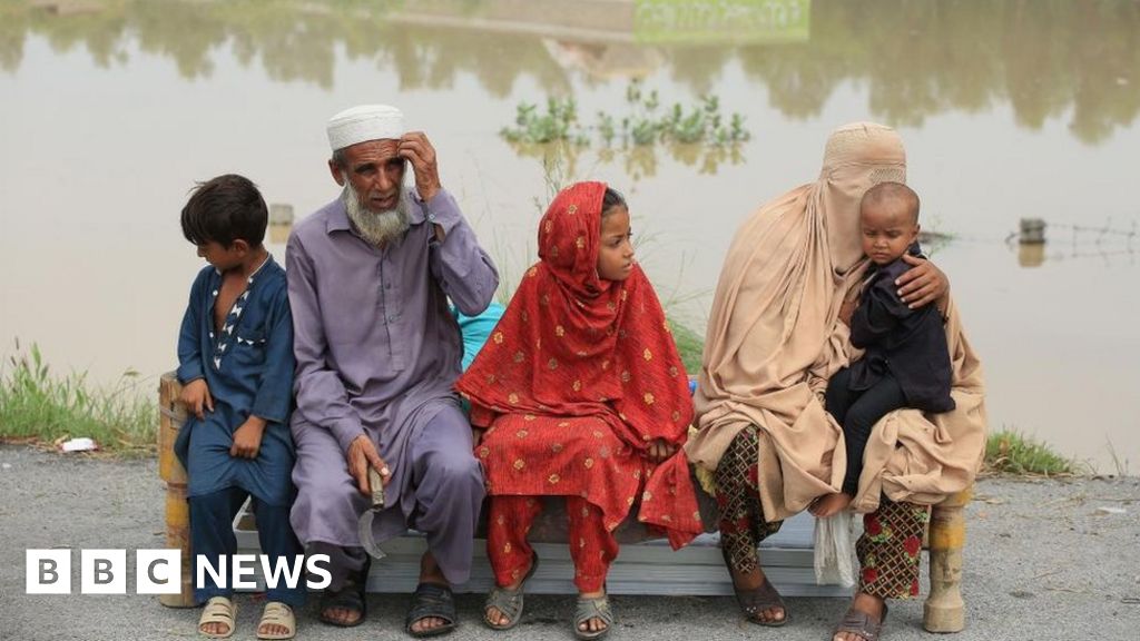 Pakistan floods: Appeals for aid as 119 more die in a day – BBC