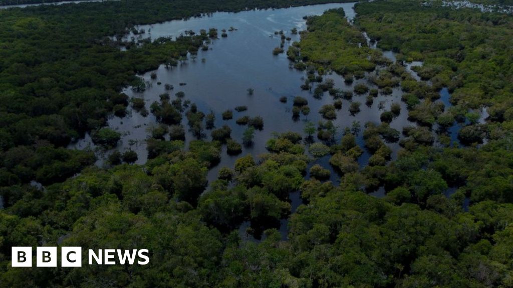 Brasil: 14 personas muertas en un accidente aéreo en la región amazónica