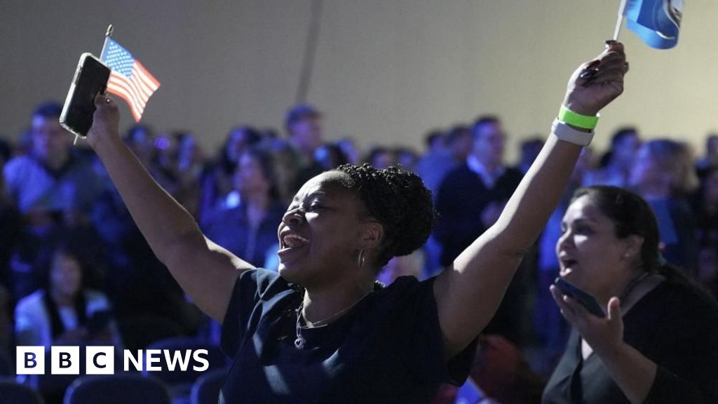 Democrats hit back and a winning message - four US election night takeaways