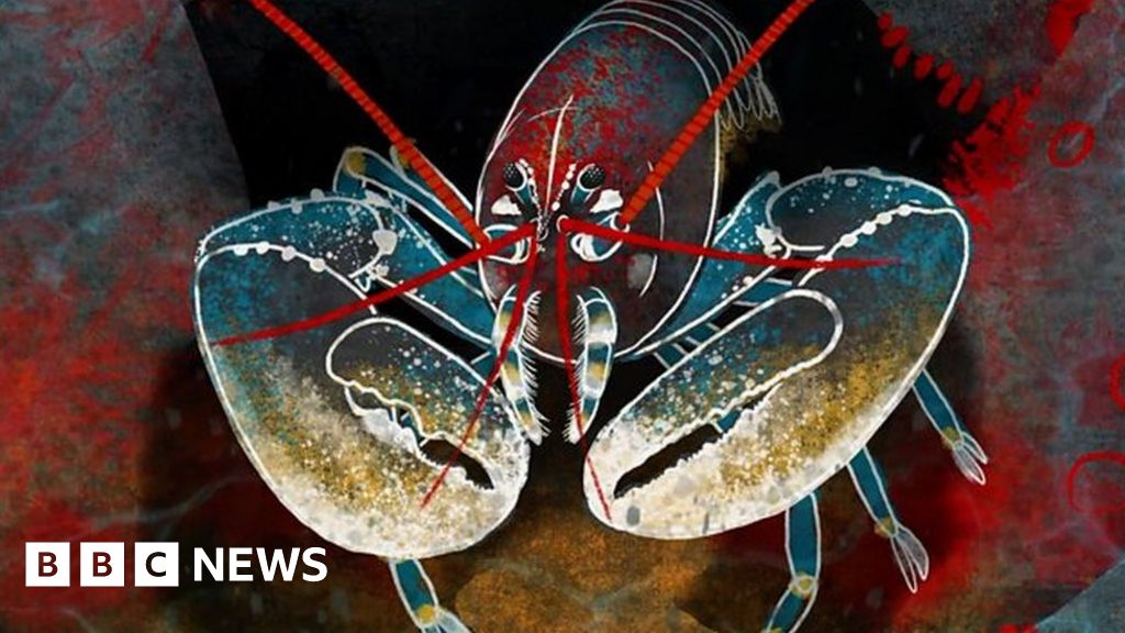 The space telescopes inspired by lobsters