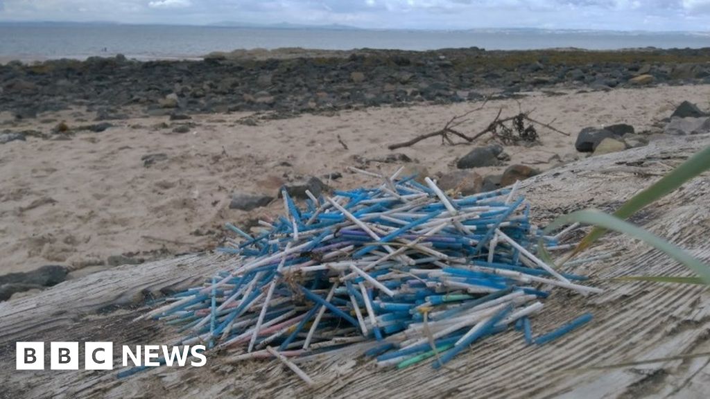 Scotland ban announced for plastic cotton buds BBC News