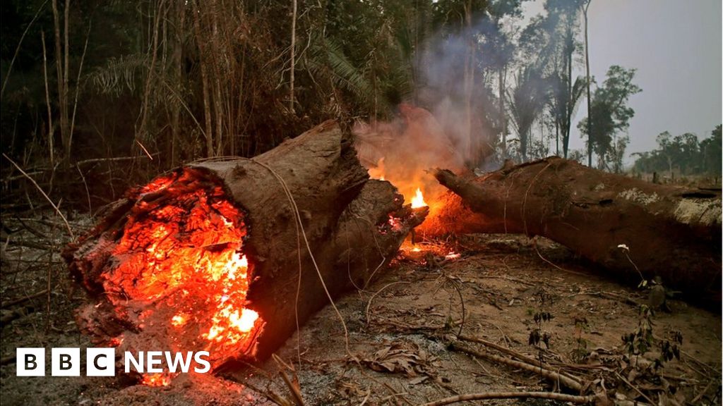 Week in pictures: 24 - 30 August 2019