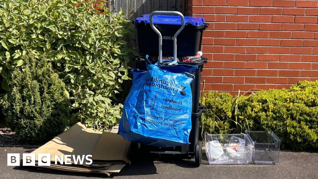 denbighshire-bins-rat-and-smell-fears-over-missed-collections