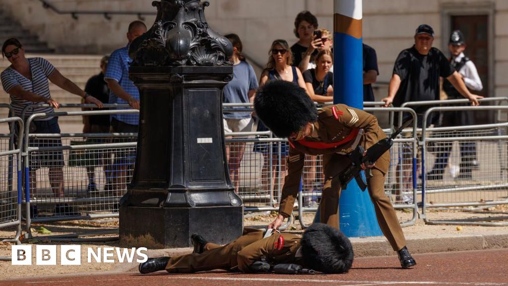 Army soldier collapses during state visit rehearsals in London