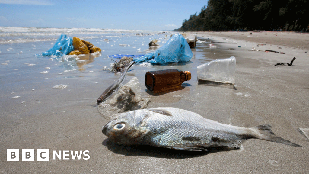 UN commits to stop ocean plastic waste