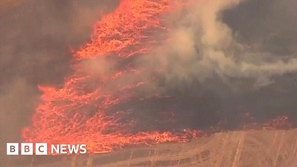 Oregon wildfire causes death and evacuations BBC News