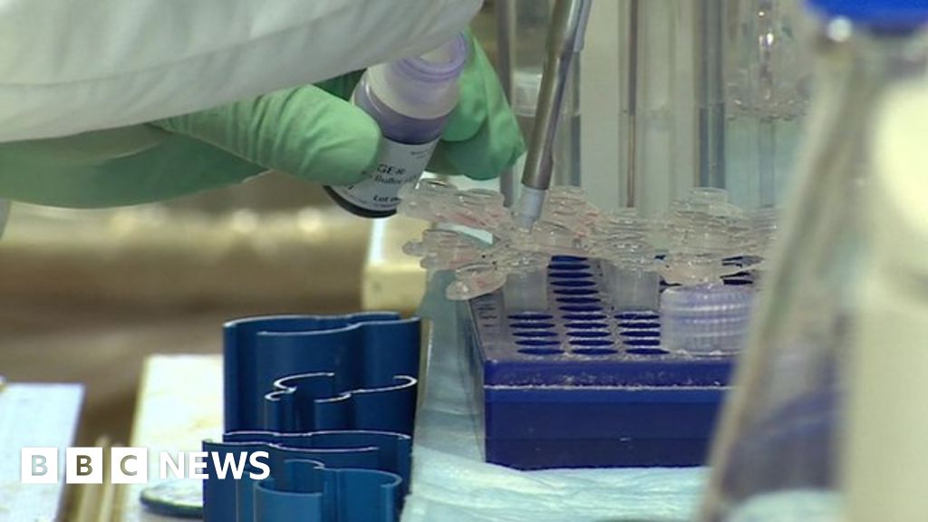 Zika Vaccine Possible Within Months BBC News    88577512 88577511 