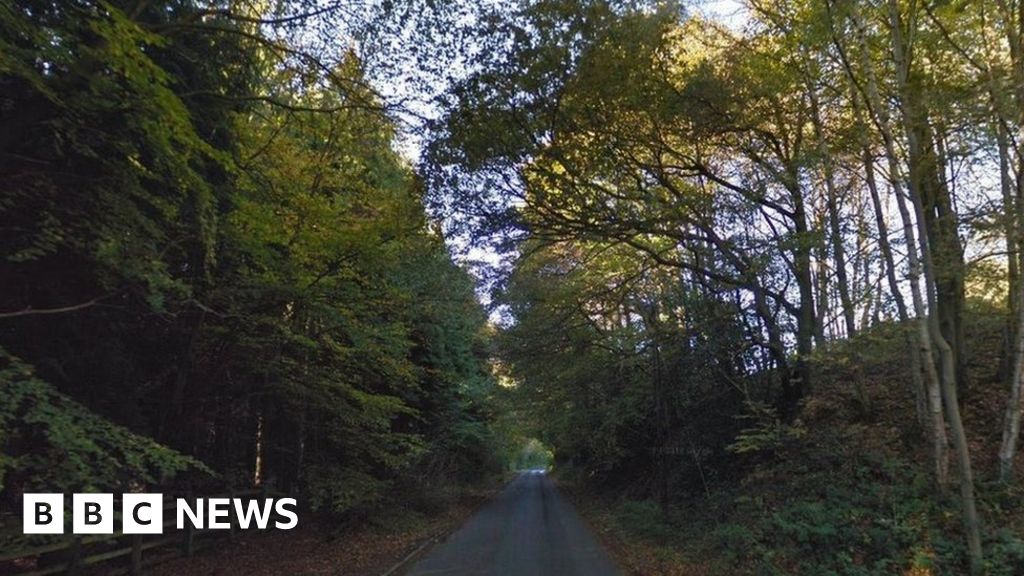 Death of two men found in a Kent lane 'not suspicious'