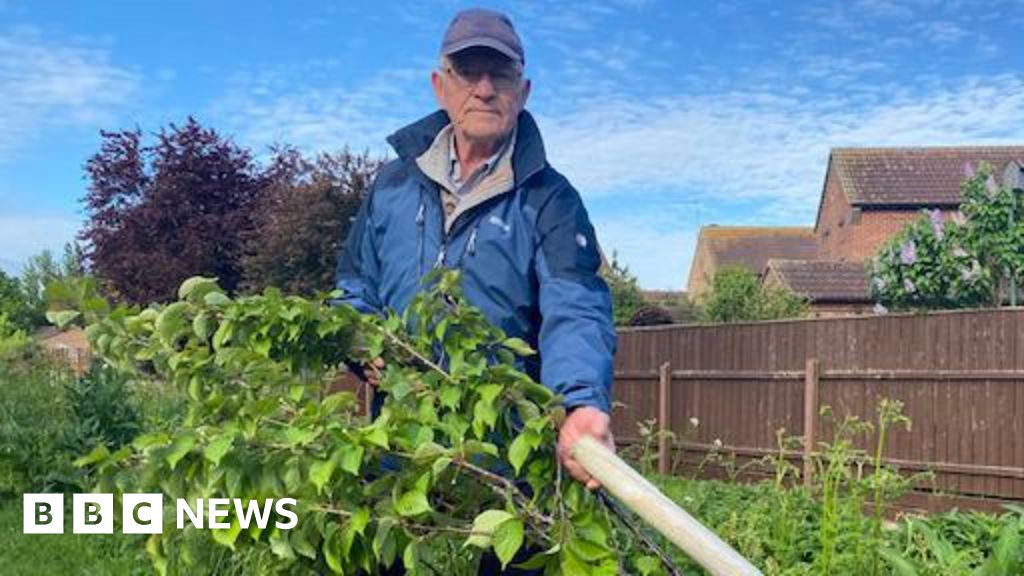 Residents' upset as trees destroyed by vandals 