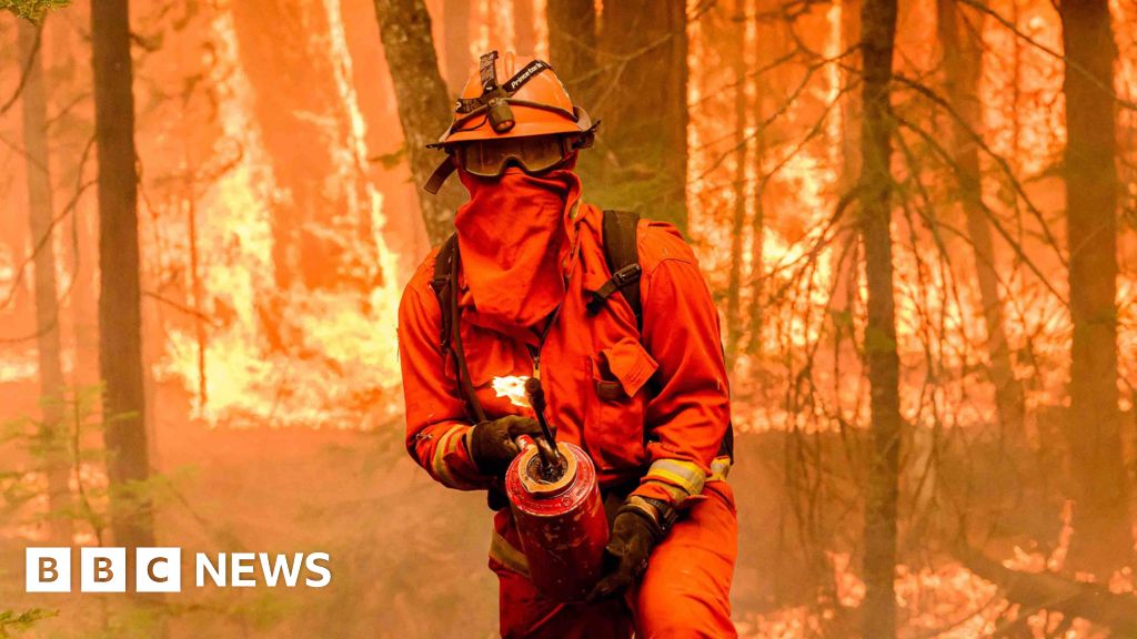 Vai ANO brīdinājums par globālās temperatūras paaugstināšanos par 3,1 grādu pēc Celsija ir pārsteigums?