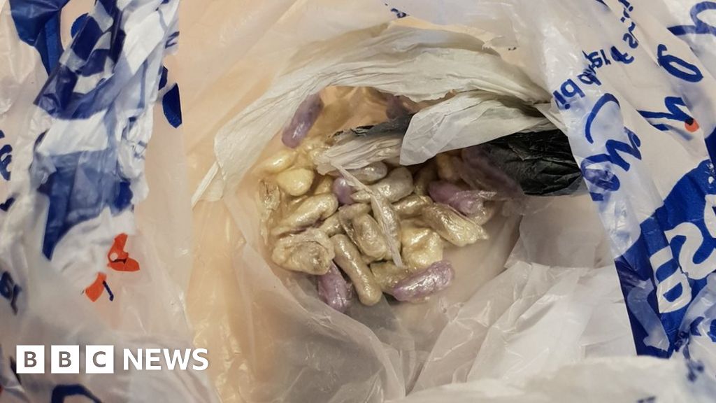 Cat in Bristol brings home bag of suspected class A drugs