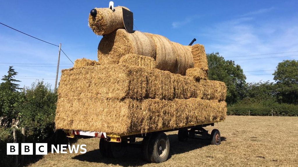 Giant Straw Bale Dog Sculpture In Stanbridge Destroyed By Fire c News