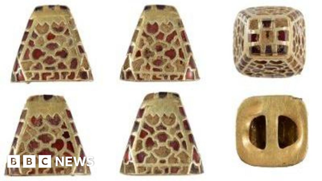 Chichester museum to display rare artefact thanks to fundraiser