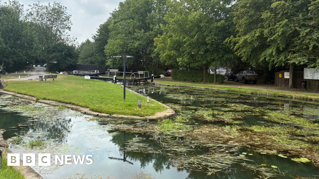 Business, boaters, and wildlife hit by Erewash Canal closures