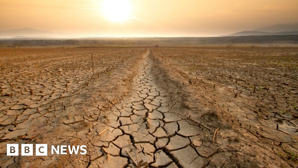 World breaches key 1.5C warming mark for record number of days