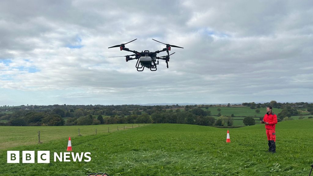 Why drones could be the future of farming