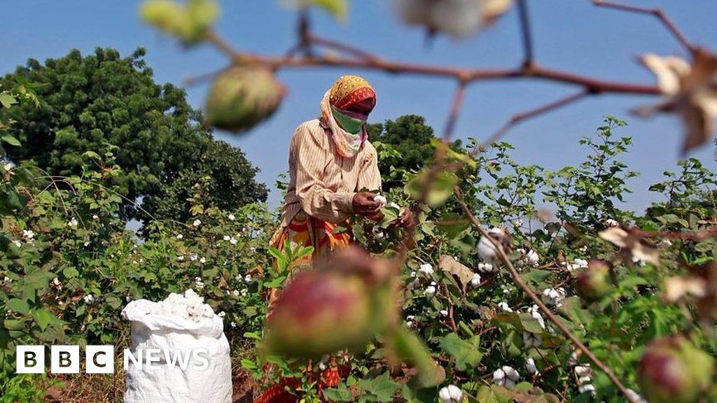 The Poison Killing Farmers In India BBC News The Poison Killing Farmers In India BBC News