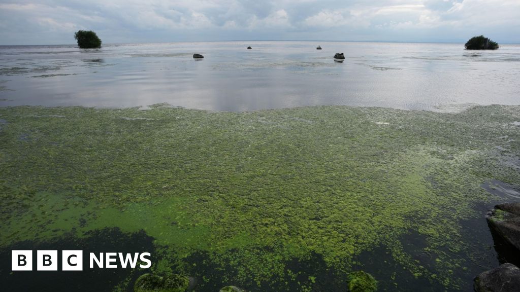 £450,000 Funded to Combat Algal Growth in Lough Neagh