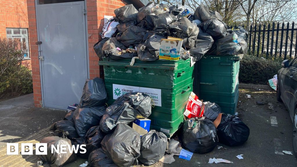 The rubbish is alive - rats feast as Birmingham bin workers strike