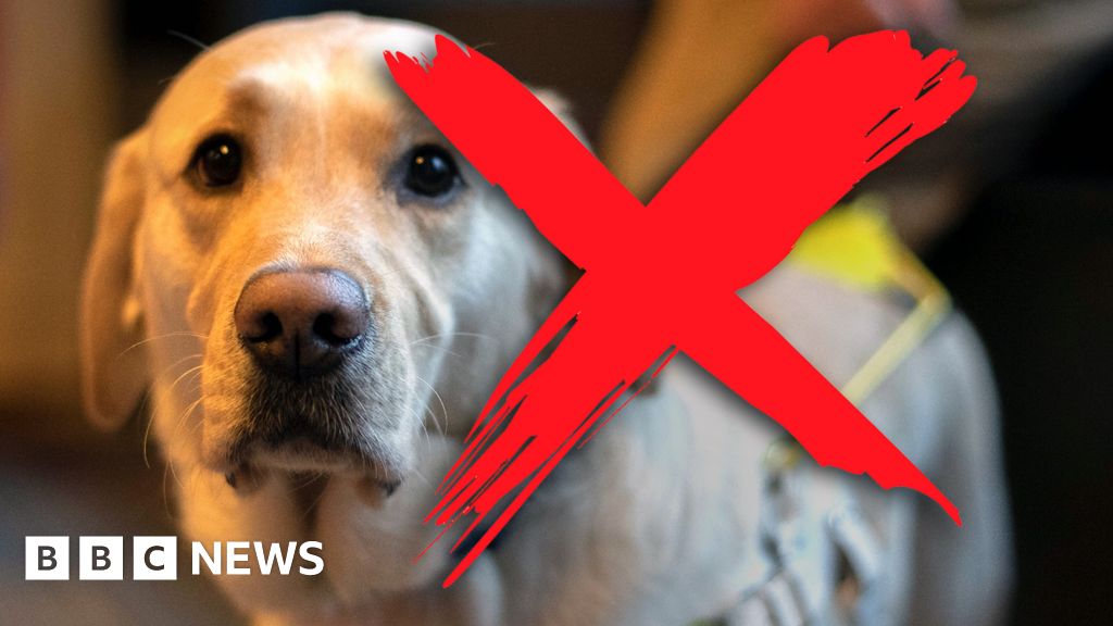 Discrimination: ‘I can't take your guide dog, I've got an allergy'