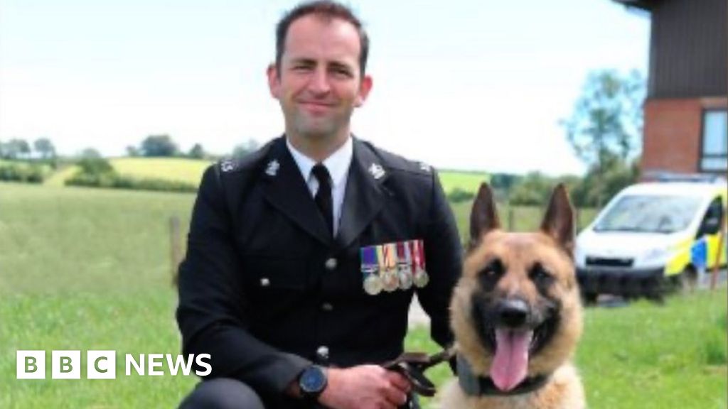 Dog handlers saved missing woman's life