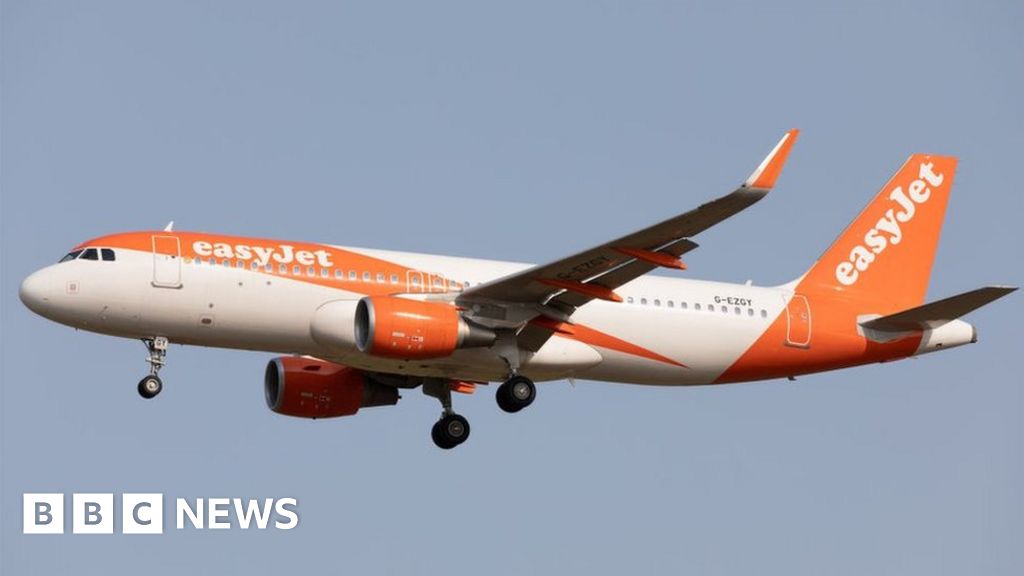 EasyJet 'hanging By A Thread', Says Union Official - BBC News