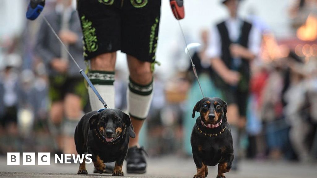 Кучета с колбаси трябва да бъдат забранен в Германия изкрещяха