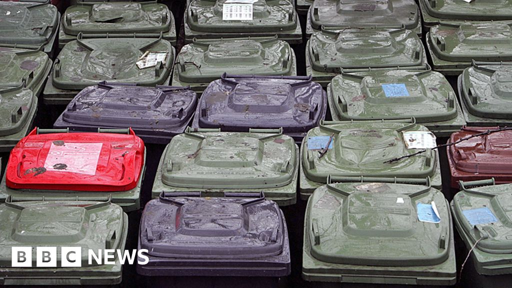 Dumfries and Galloway waste plan cost review urged