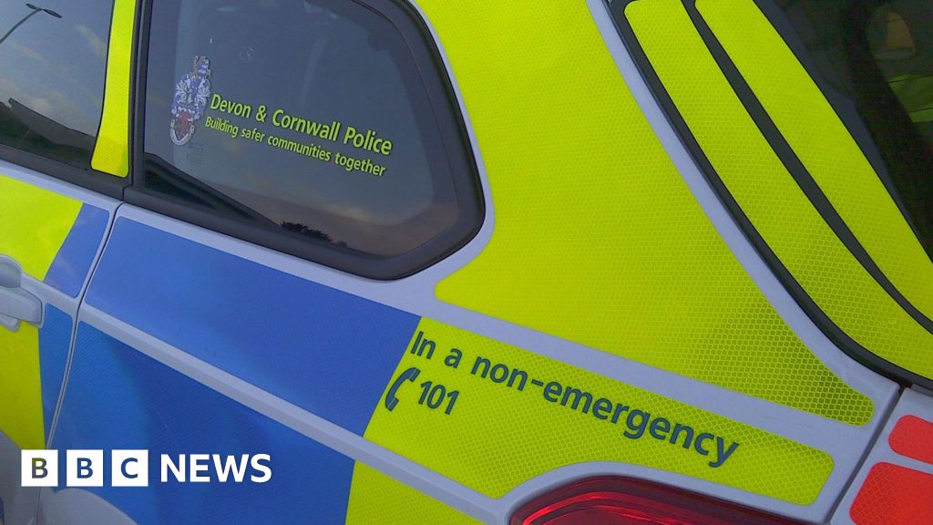 bbc.co.uk - Chloe Parkman - Student road safety event in Devon offers 'vital knowledge' - BBC News