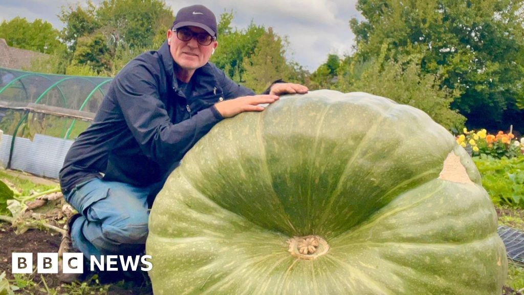 'My big squash needed its own transport operation'