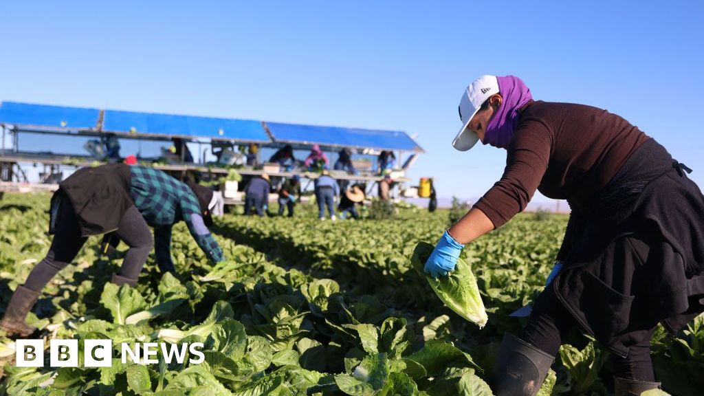 'We can't do without these people': Trump's migrant crackdown has businesses worried