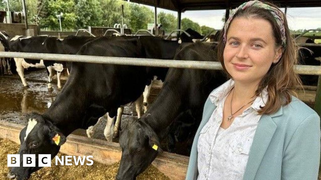 Headbutting goats wrecking dairy researchers' study