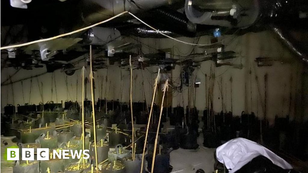 Pair jailed over Whitehaven expost office cannabis farm