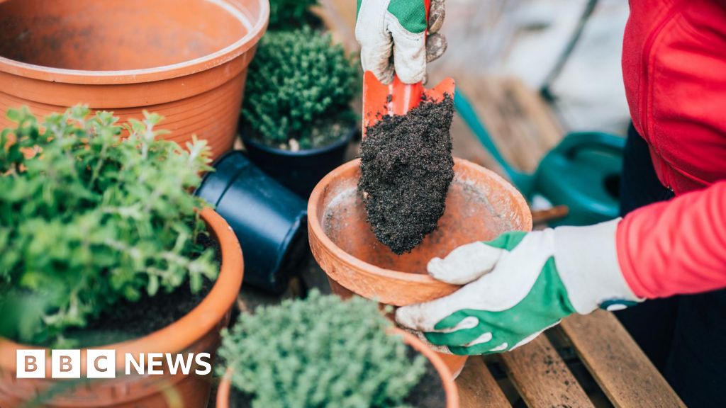 Inverness and Edinburgh Dobbies set to shut by end of the year