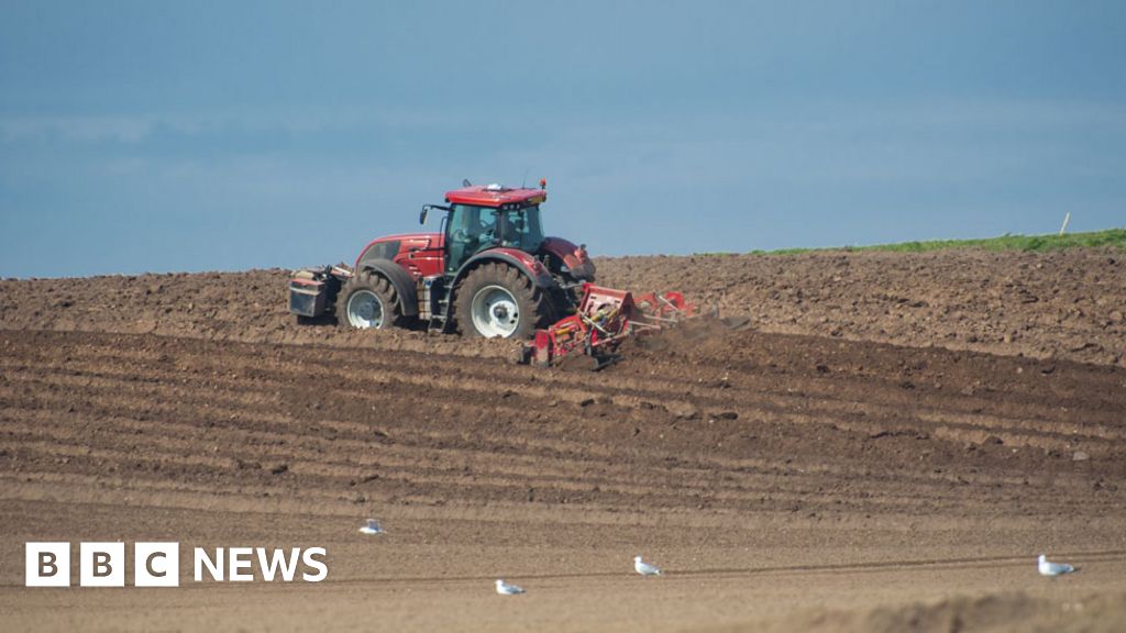 Farmers 'concerned' about crops after driest winter in 20 years - BBC News