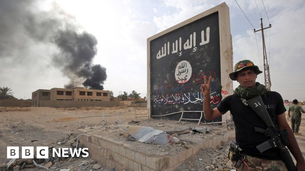 Up to 30,000 IS fighters in Syria and Iraq
