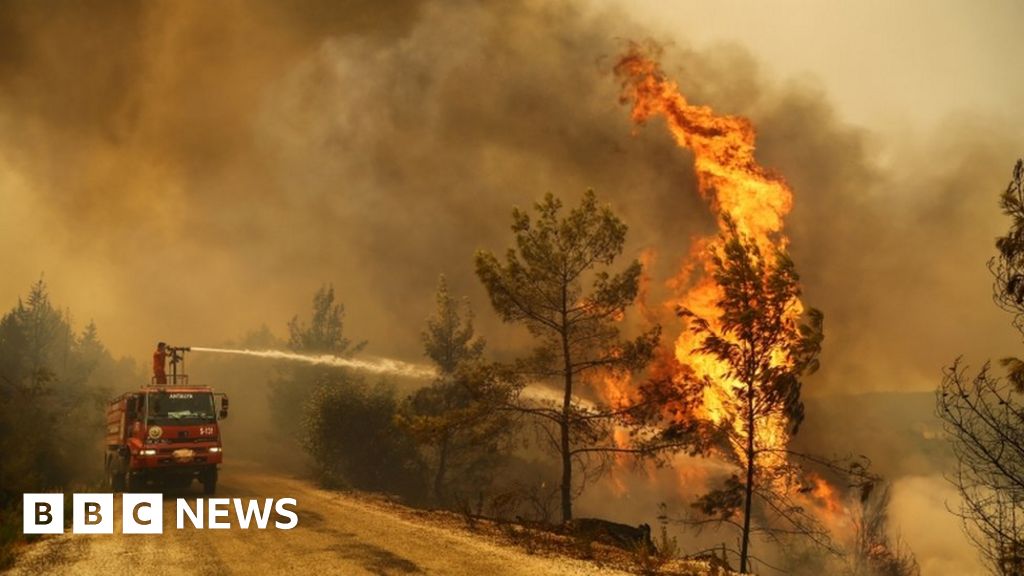 Climate change: July world's hottest month ever recorded - US agency