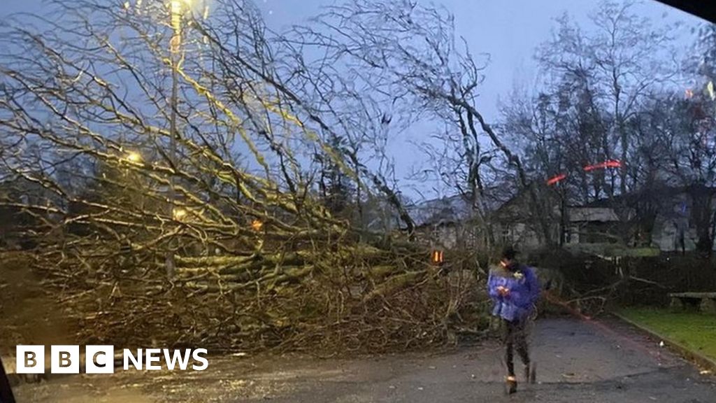 Homes without power as Scotland counts cost of Storm Arwen