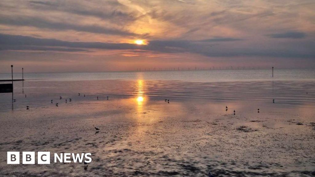 Our favourite images of the week from Kent - BBC News